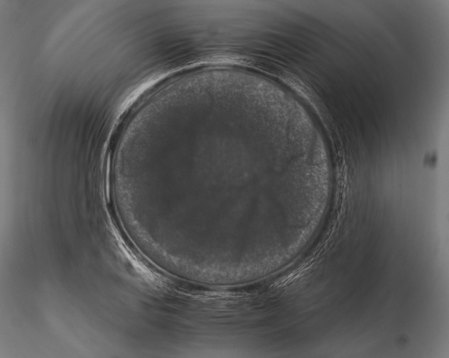X0000115481127200912040946