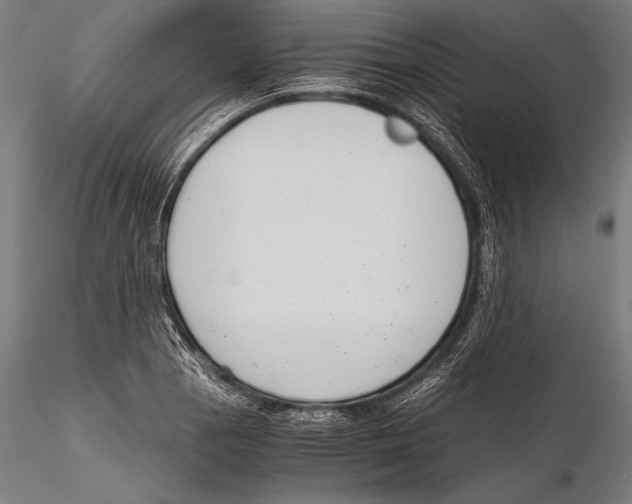 X0000115481129200912040946