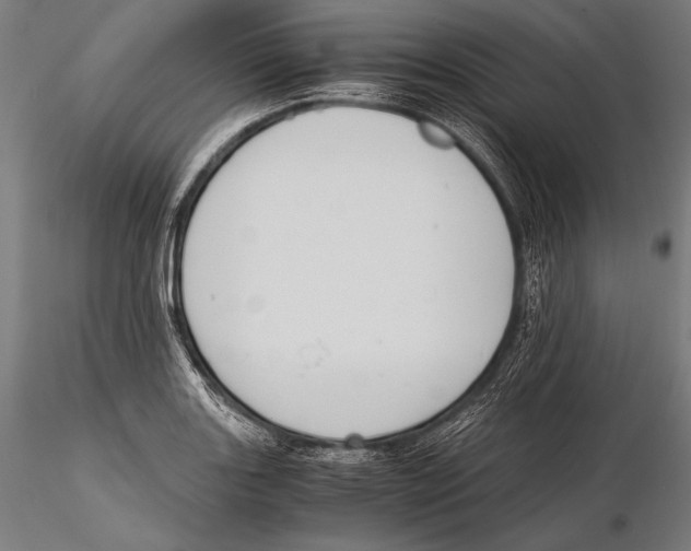 X0000115481131200912040946