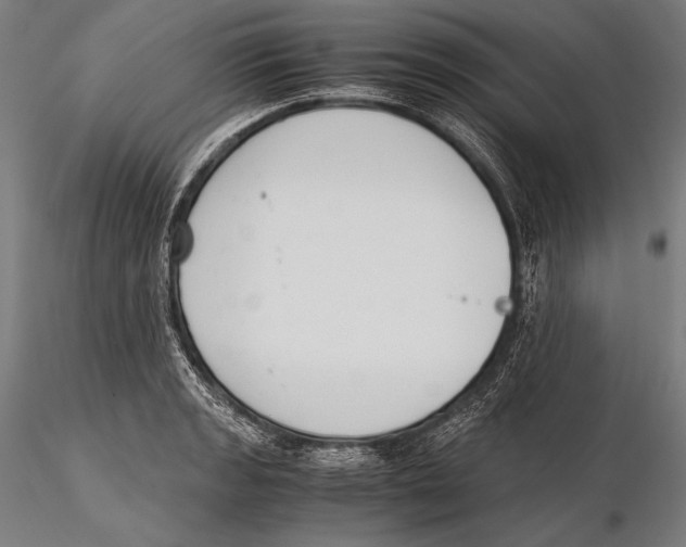 X0000115481133200912040946