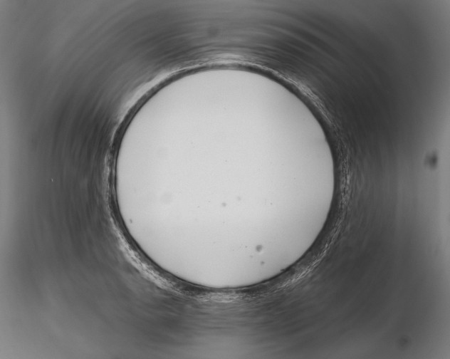 X0000115481134200912040946
