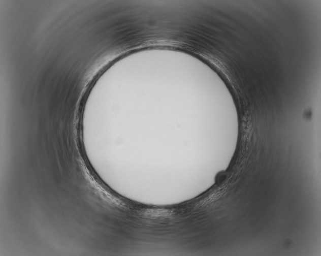 X0000115481135200912040946
