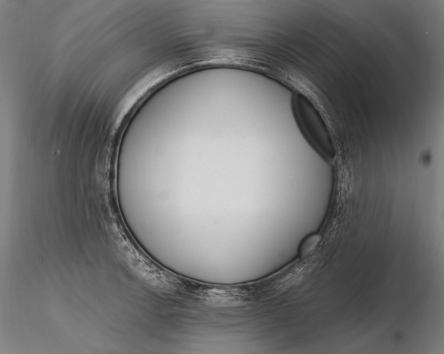X0000115481138200912040946
