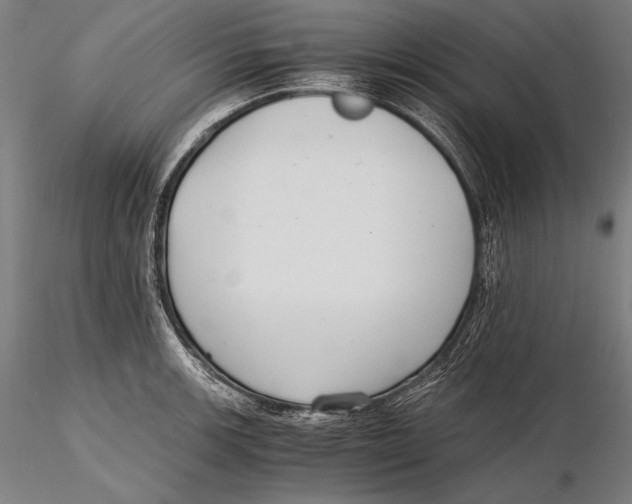 X0000115481139200912040946