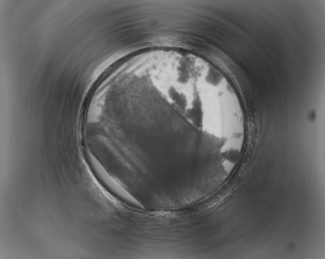X0000115481141200912040946