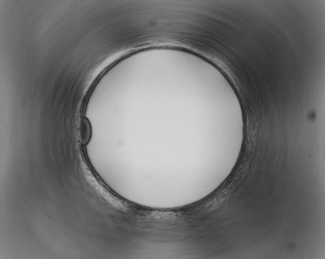 X0000115481142200912040946