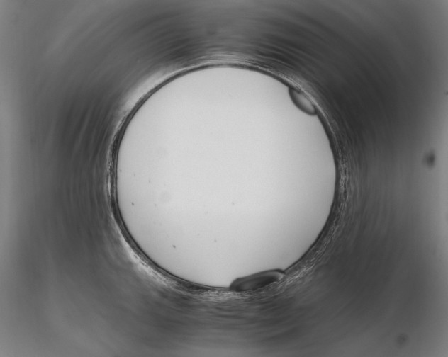 X0000115481143200912040946