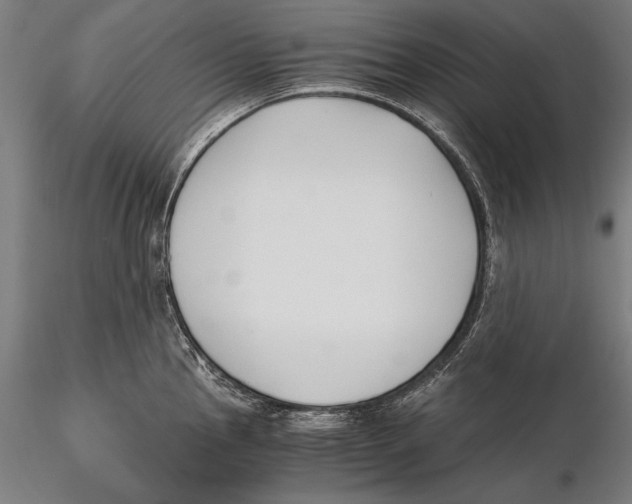 X0000115481145200912040946