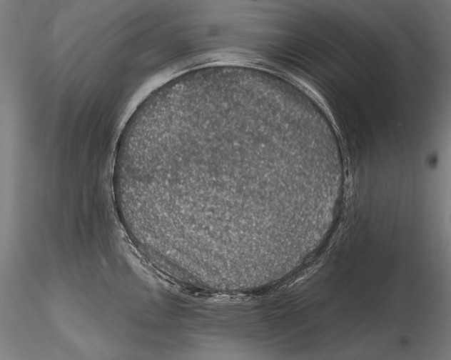 X0000115481146200912040946