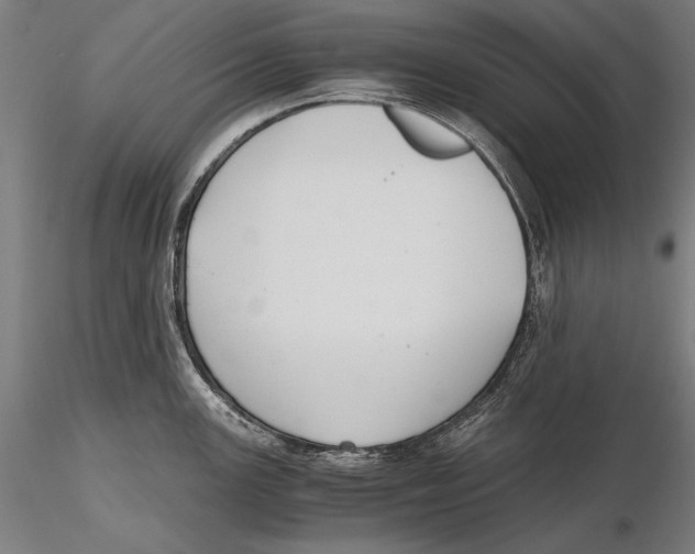 X0000115481147200912040946