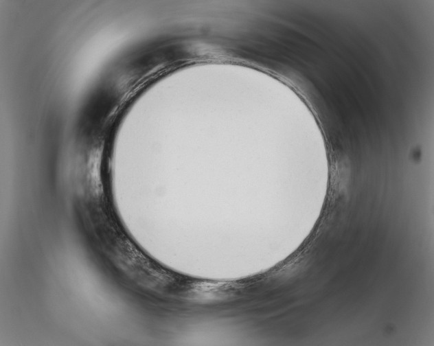 X0000115481150200912040946
