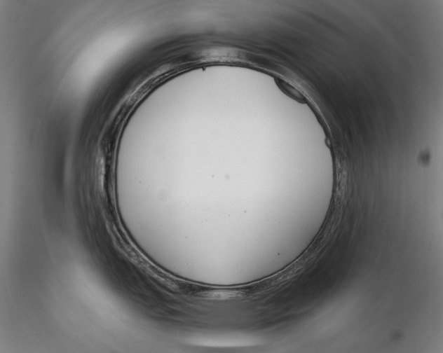 X0000115481151200912040946