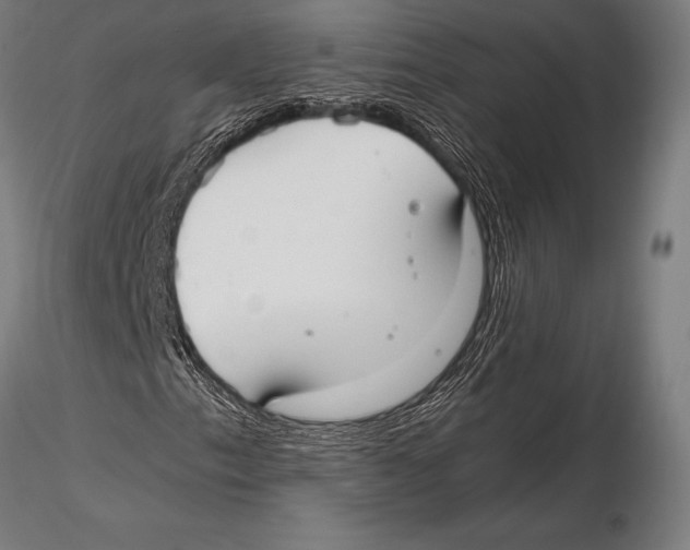 X0000115481153200912040946