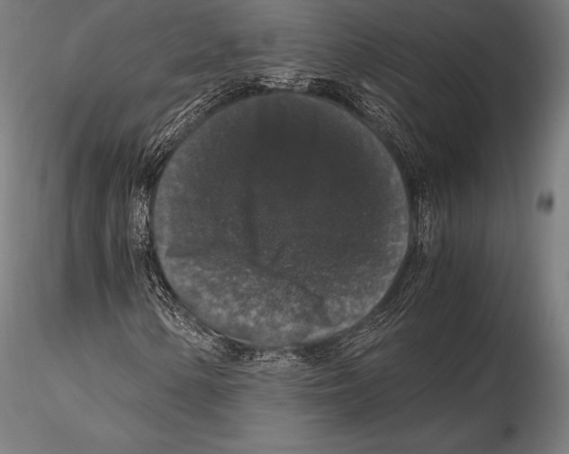 X0000115481154200912040946