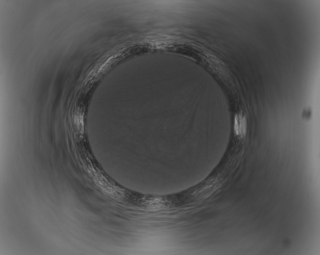 X0000115481155200912040946