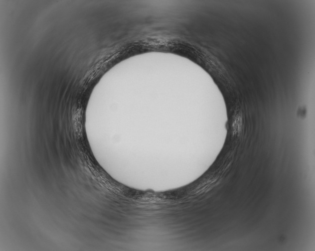 X0000115481156200912040946