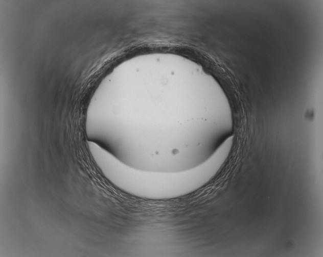 X0000115481157200912040946