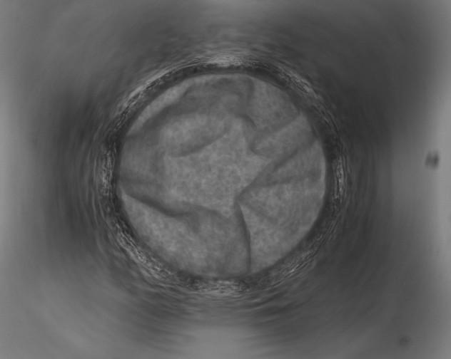 X0000115481158200912040945