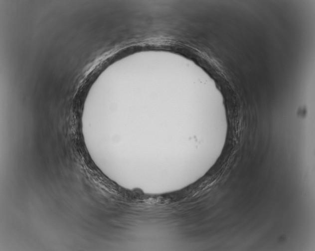X0000115481160200912040945
