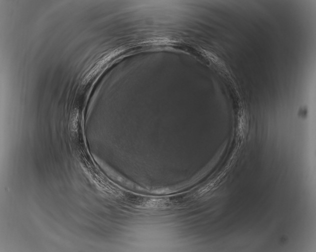 X0000115481161200912040945