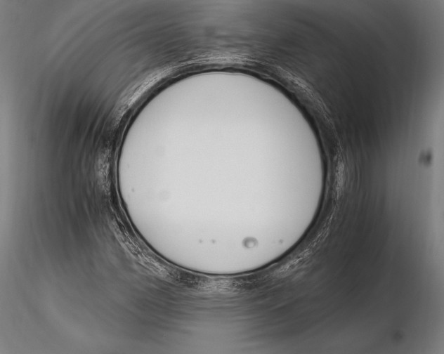 X0000115481162200912040945