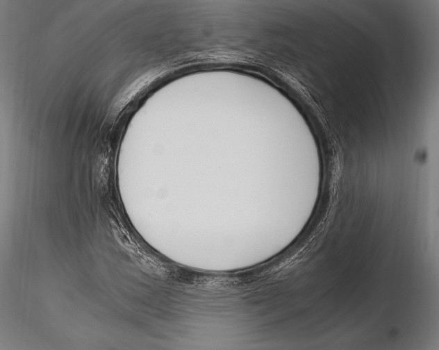 X0000115481163200912040945