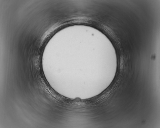 X0000115481164200912040945