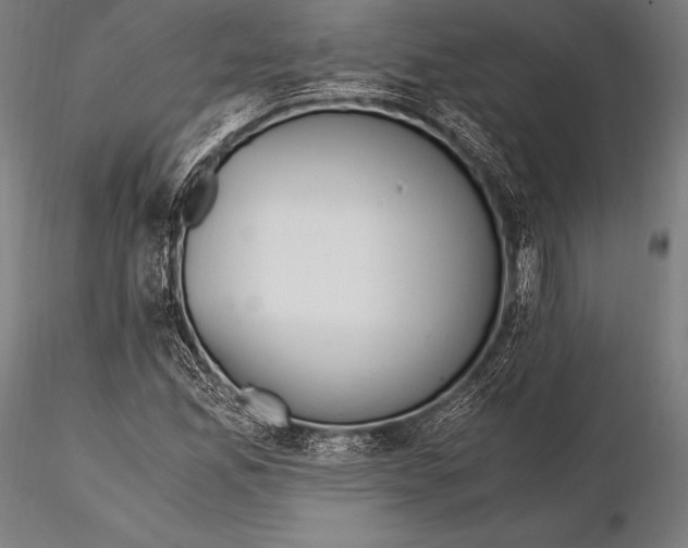 X0000115481165200912040945