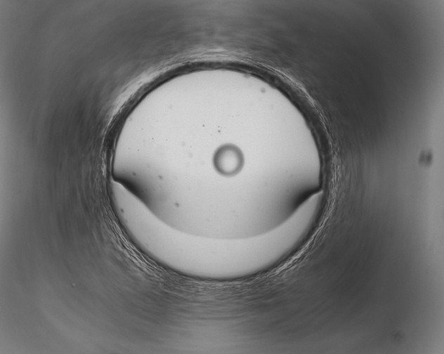 X0000115481167200912040945