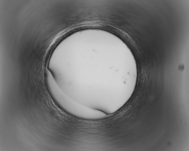 X0000115481168200912040945