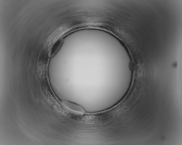 X0000115481169200912040945