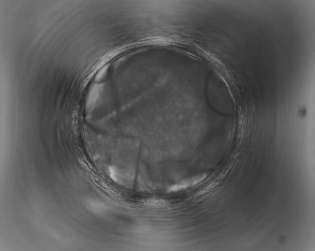 X0000115481170200912040945