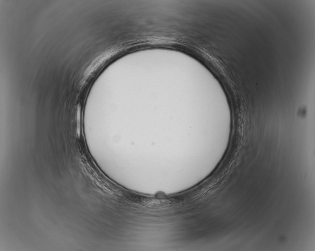 X0000115481171200912040945