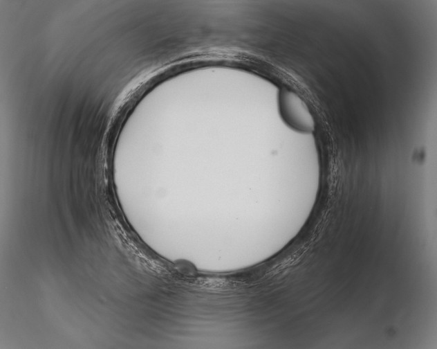 X0000115481172200912040945