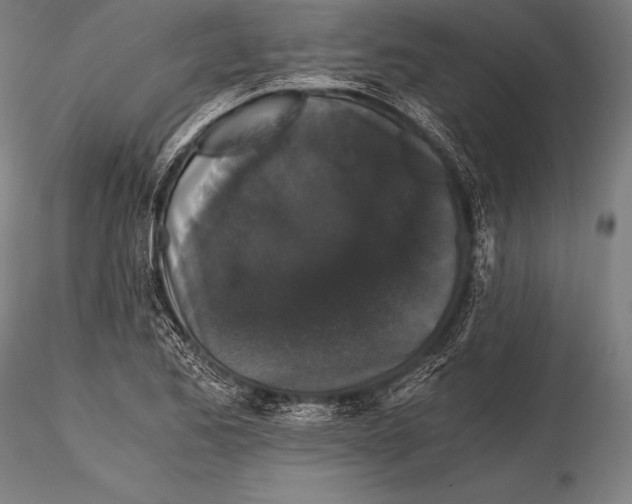 X0000115481173200912040945