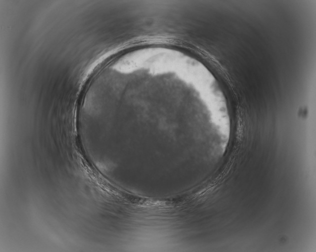 X0000115481174200912040945