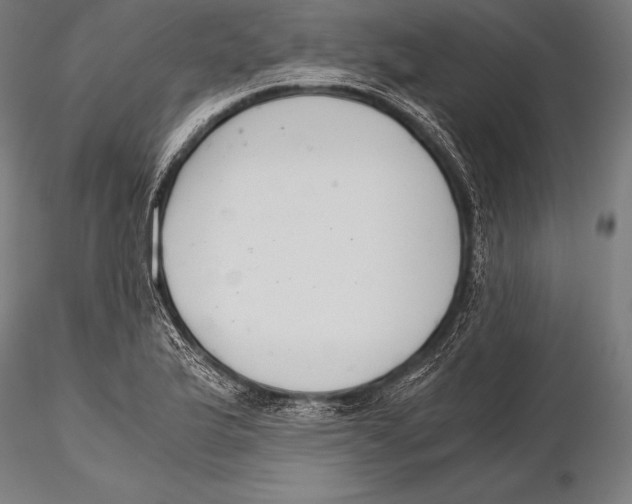 X0000115481175200912040945