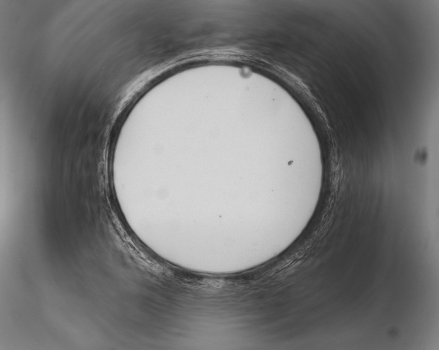 X0000115481176200912040945