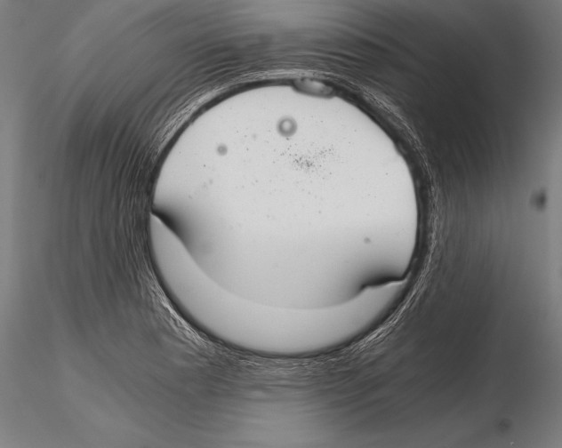 X0000115481177200912040945
