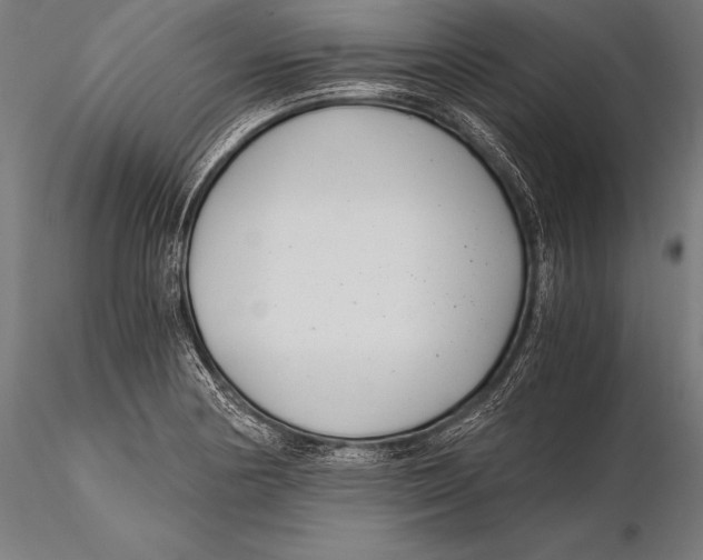 X0000115481178200912040945