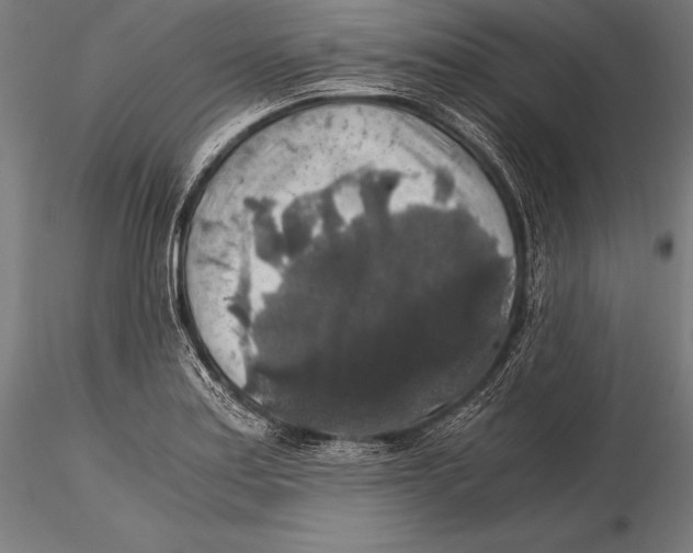 X0000115481179200912040945