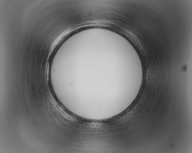 X0000115481180200912040945