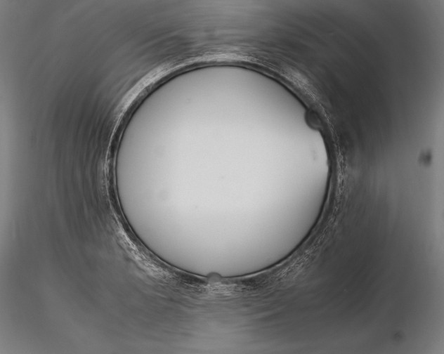X0000115481181200912040945