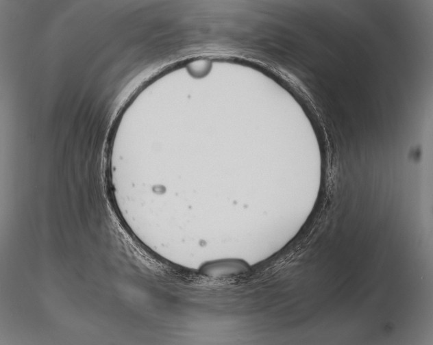 X0000115481183200912040945