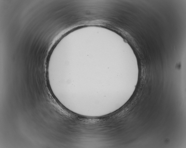 X0000115481184200912040945