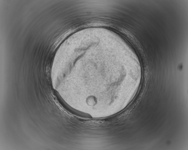 X0000115481185200912040945
