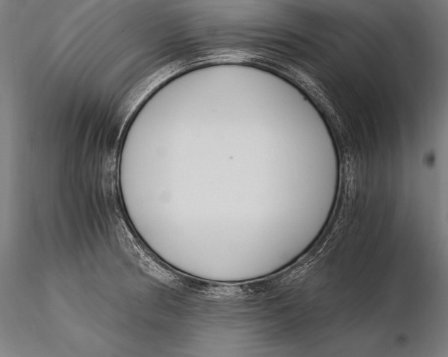 X0000115481186200912040945