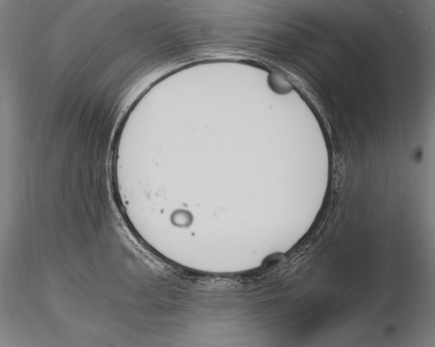 X0000115481187200912040945