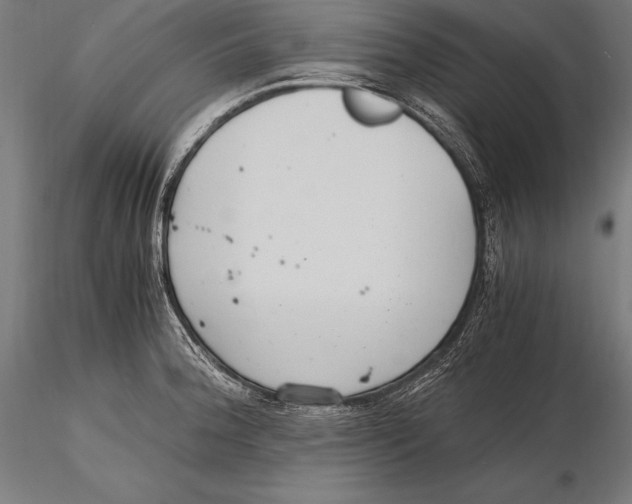 X0000115481188200912040945
