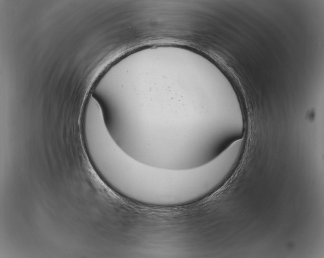 X0000115481189200912040945